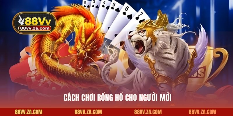 Cách chơi rồng hổ cho người mới 88VV