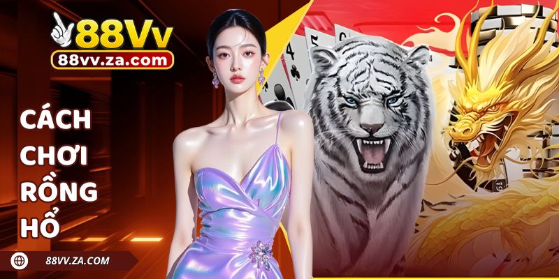 Cách Chơi Rồng Hổ Chi Tiết Dành Cho Tân Hội Viên 88VV